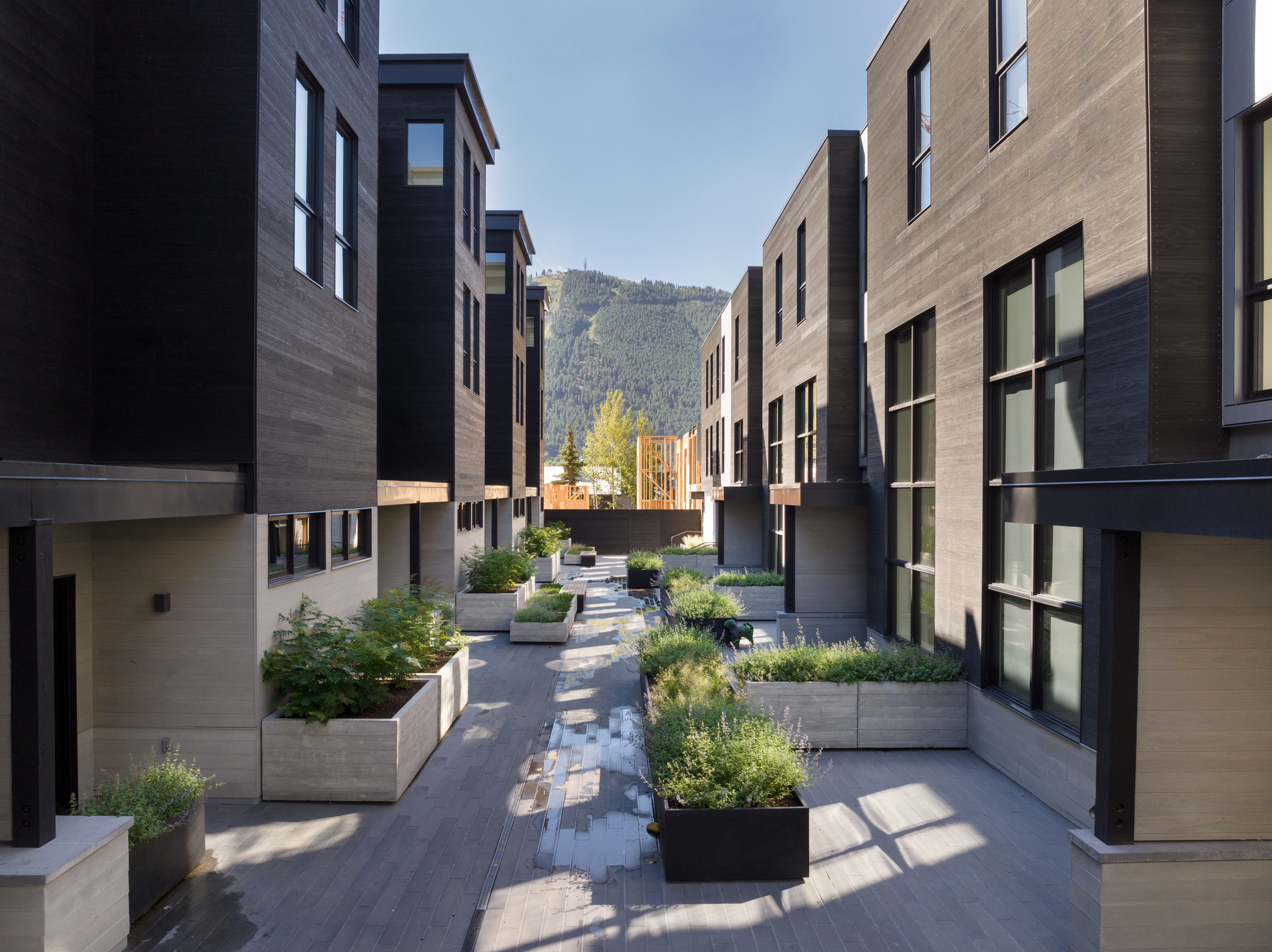 Landscaped courtyard